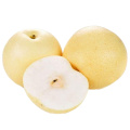 2021 new season fresh and sweet Chinese super gong pear for wholesale
